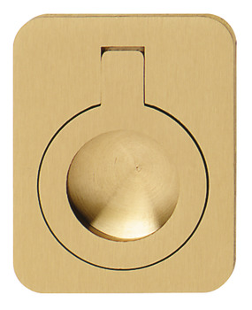 Inset Ring Handle, Brass