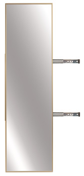 Pull-Out Mirror, TAG Synergy Elite